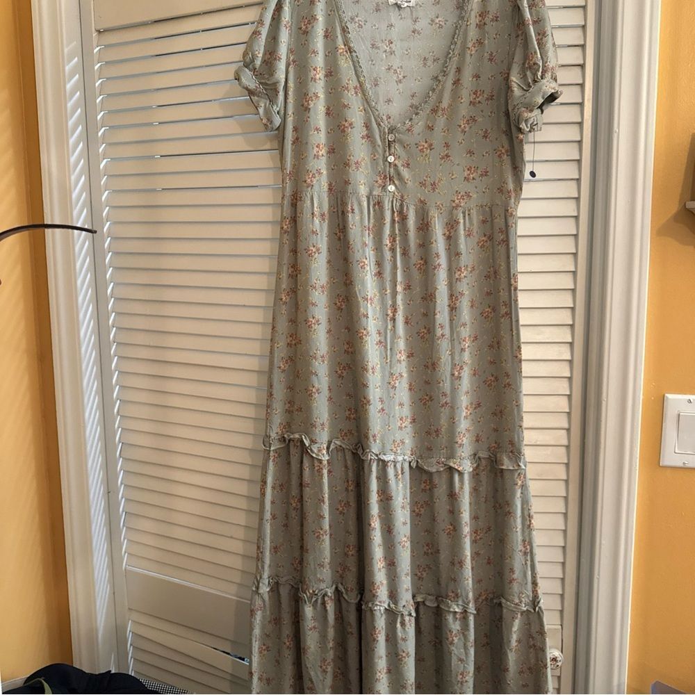 Eyeshadow Floral Maxi Dress in Soft Green